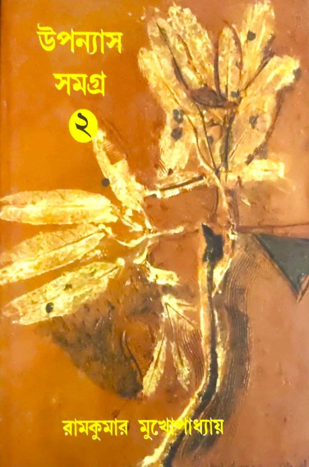WhatsApp-Image-2024-03-17-at-4.14.58-PM UPANYAS SAMAGRA VOL 2 || RAMKUMAR MUKHOPADHYAY - Image 1
