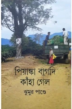 PIYANKA BAGDI KANHA GELO || JHUMUR PANDAY