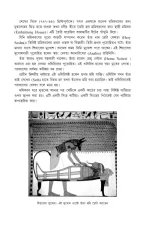Mummy Samagra - Bhabesh Roy | মমি সমগ্র - ভবেশ রায় - image 6