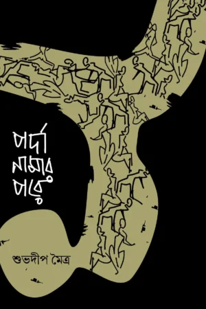 Parda Namar Pore || Subhadip Maitra || পর্দা নামার পরে || শুভদীপ মৈত্র ||