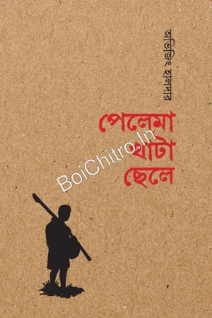 Pelema Khata Chele || Avijit Halder || পেলেমা খাটা ছেলে || অভিজিৎ হালদার