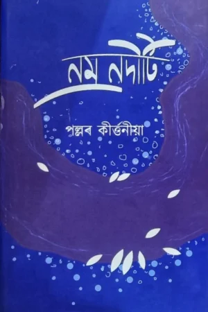 Namranoditi || Pallab Kirtania || নম্রনদীটি || পল্লব কীর্তনীয়া