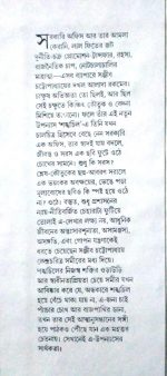 Sankhachil || শঙ্খচিল - Image 2