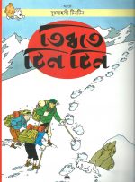 Tintin Samagra Set Of 24 Volumes || টিনটিন সমগ্র ২৪ টি খণ্ড একত্রে - Image 3
